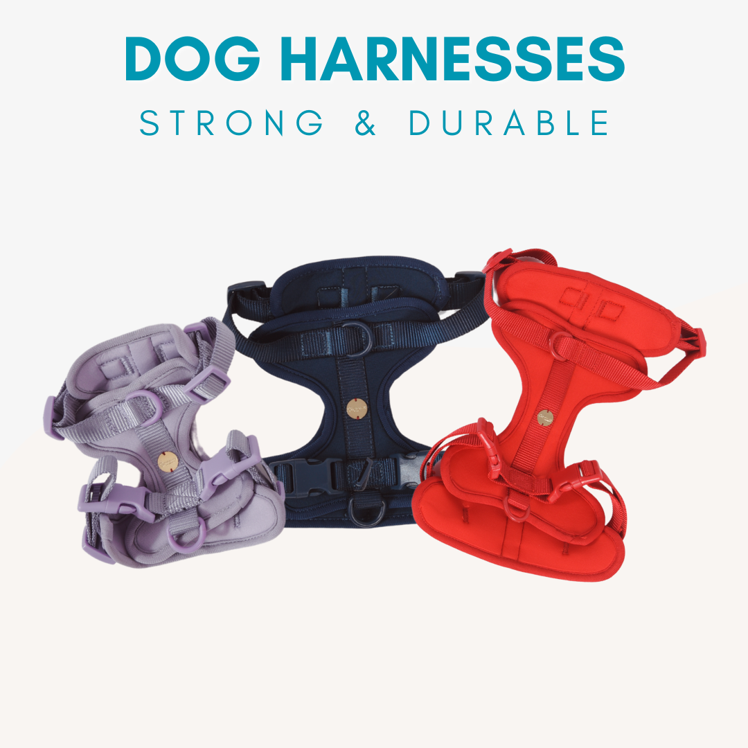 Adjustable Durable Dog Harness