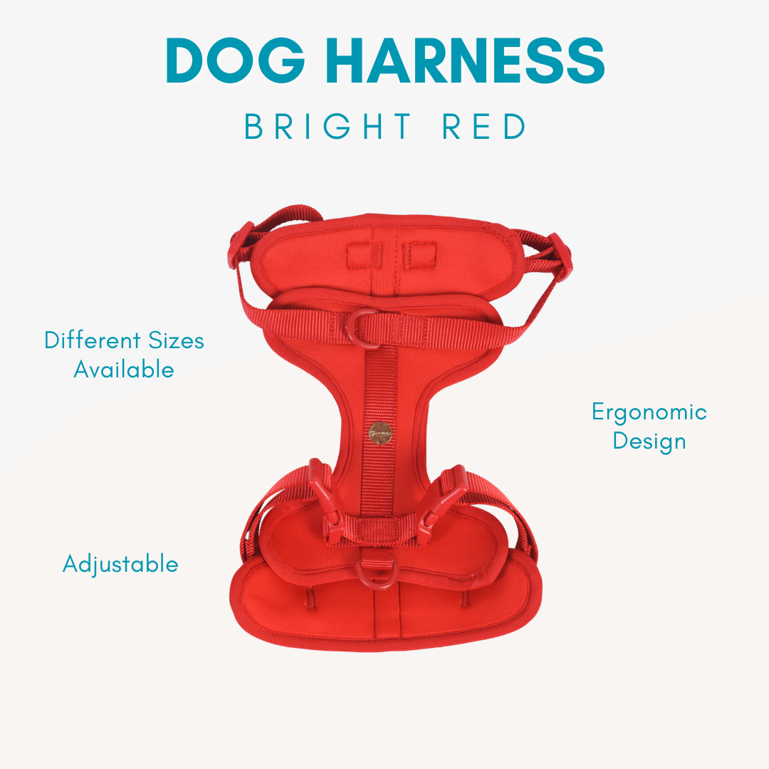 Adjustable Durable Dog Harness
