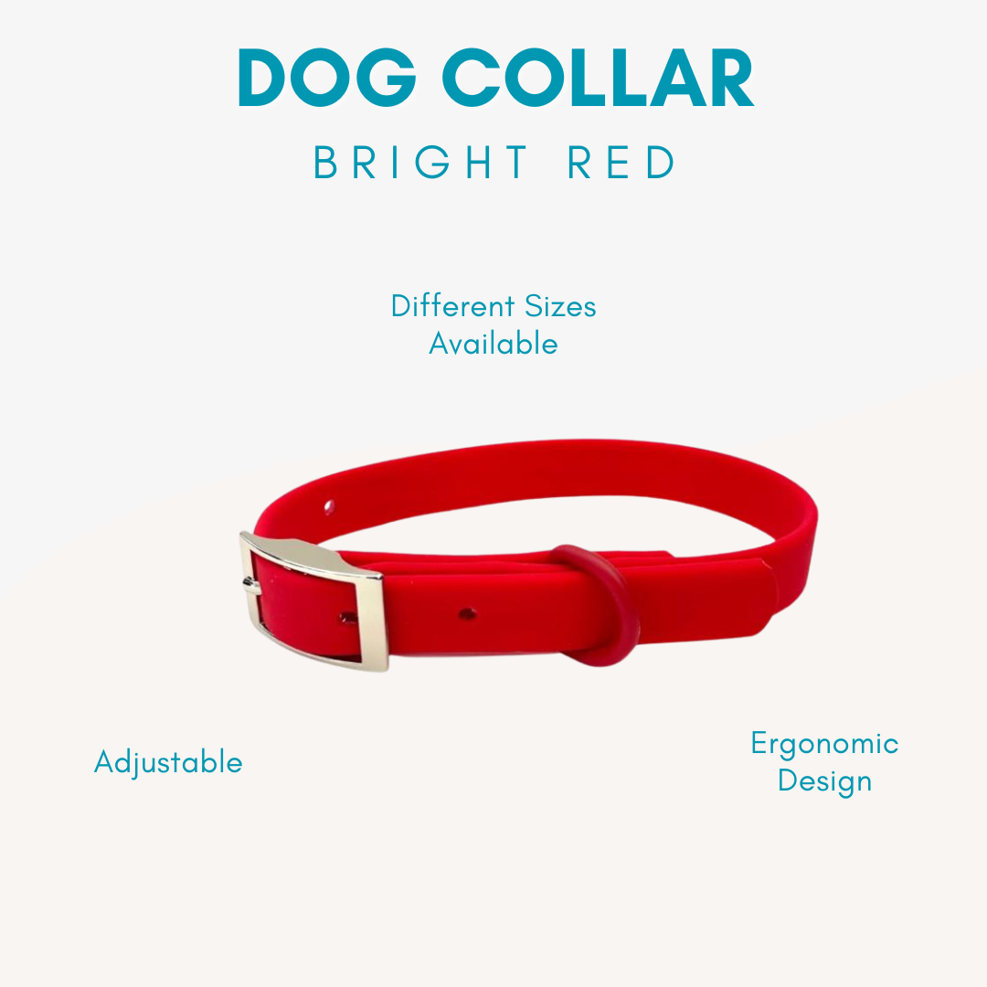 Adjustable Waterproof Dog Collar