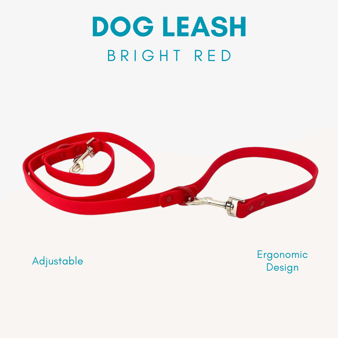 Adjustable Waterproof Dog Leash