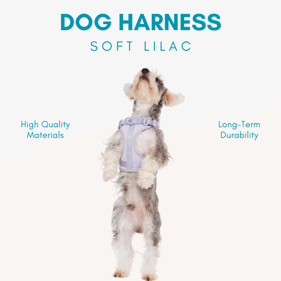 Adjustable Durable Dog Harness