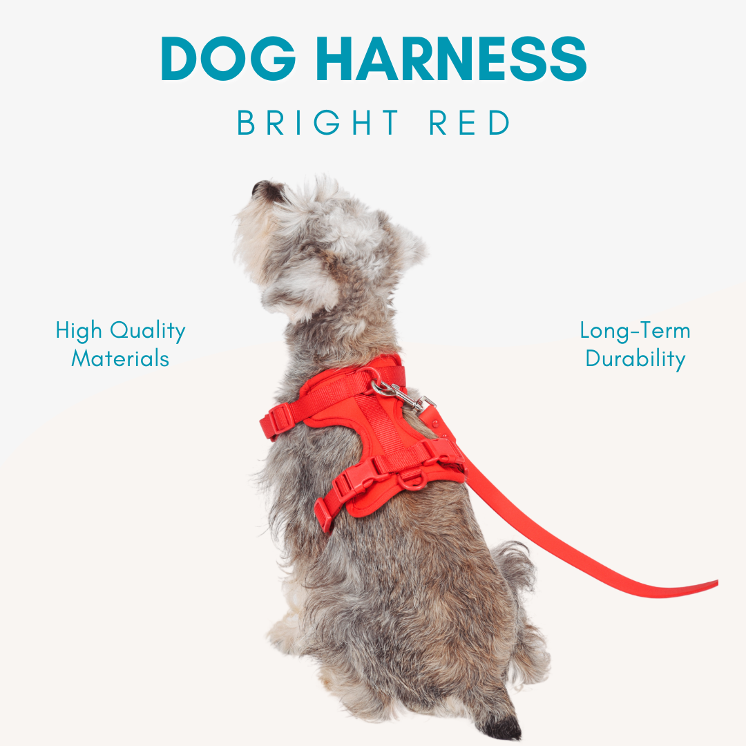 Adjustable Durable Dog Harness