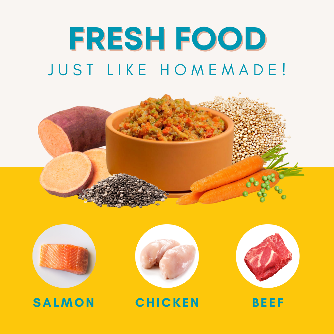 Beef Dog Food