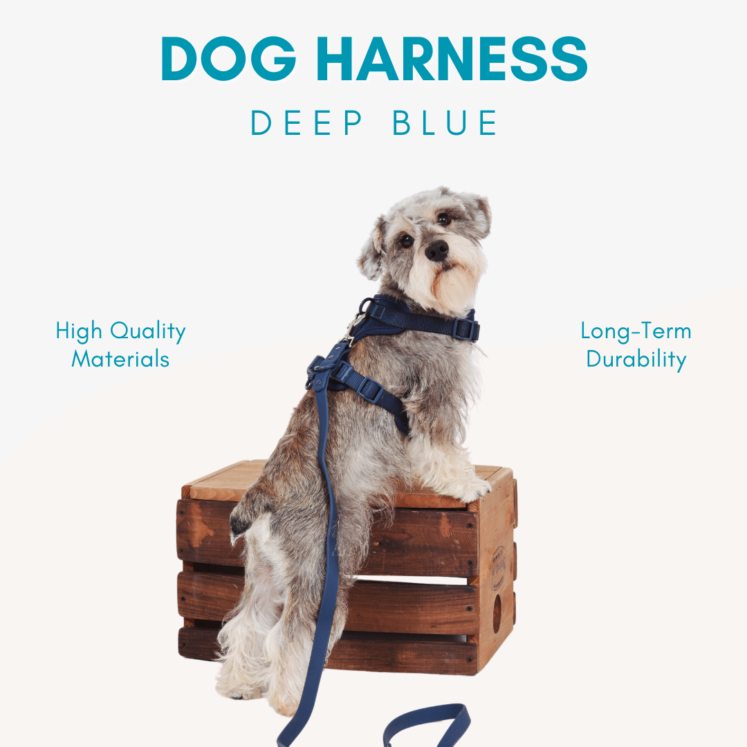 Adjustable Durable Dog Harness