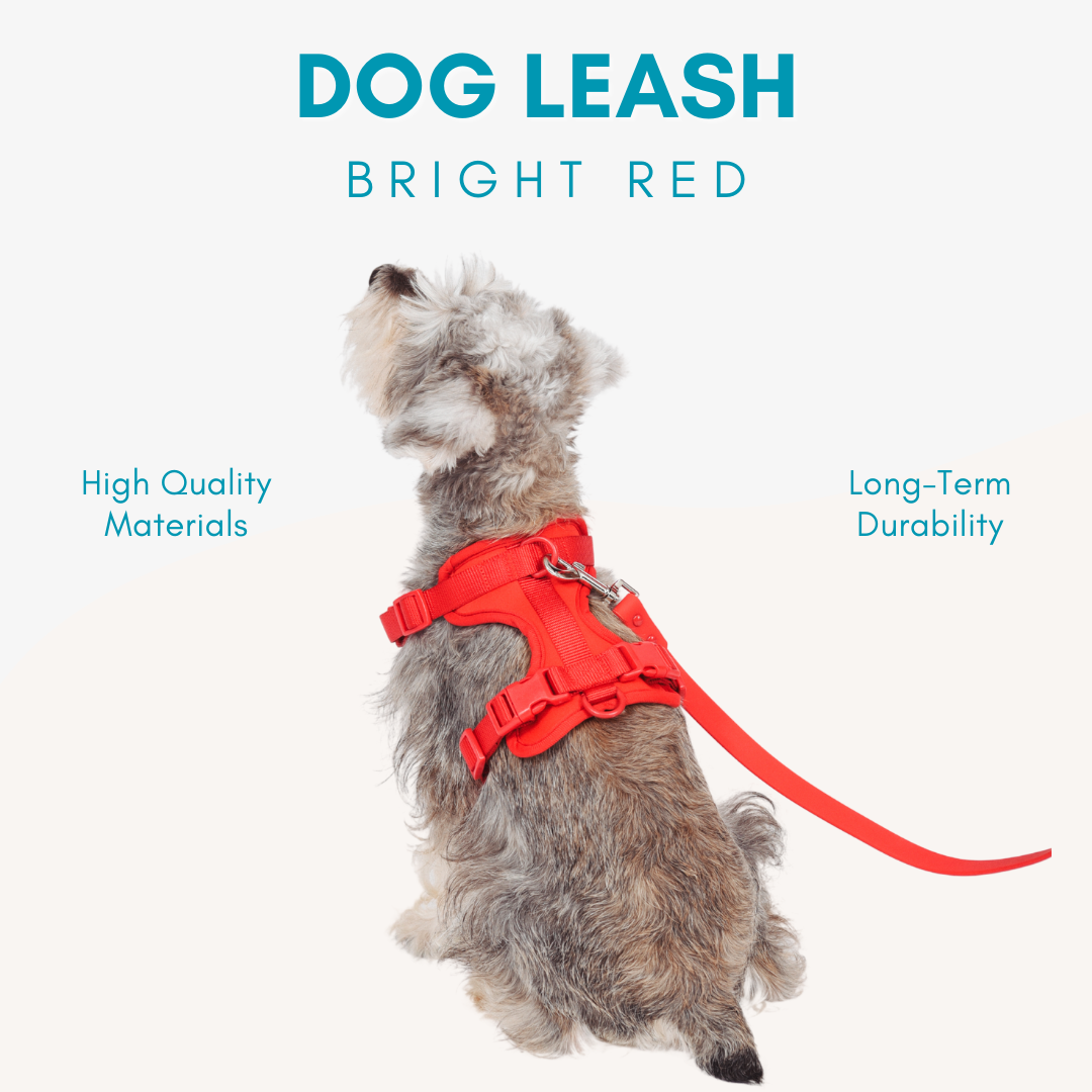 Adjustable Waterproof Dog Leash