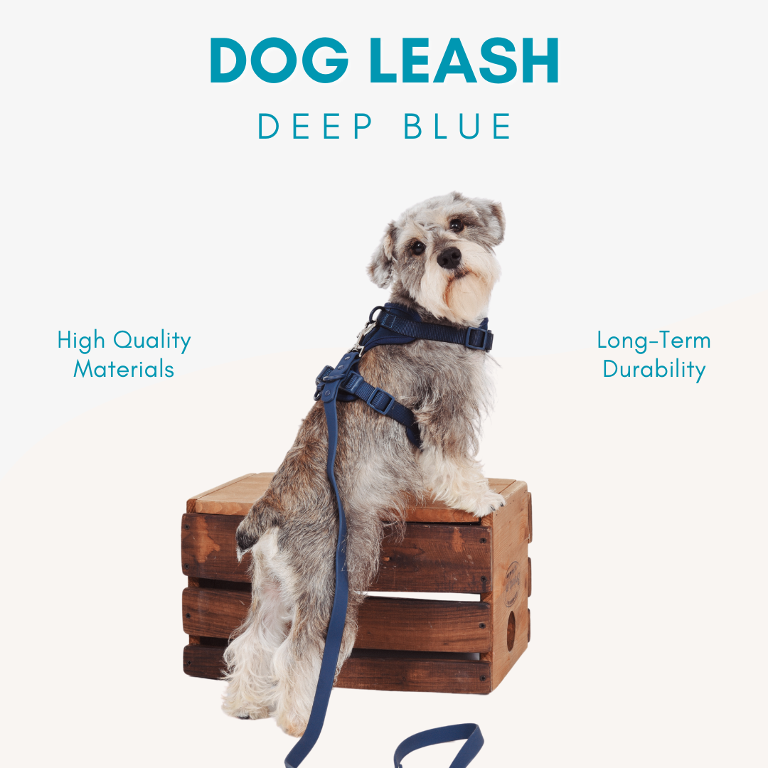 Adjustable Waterproof Dog Leash