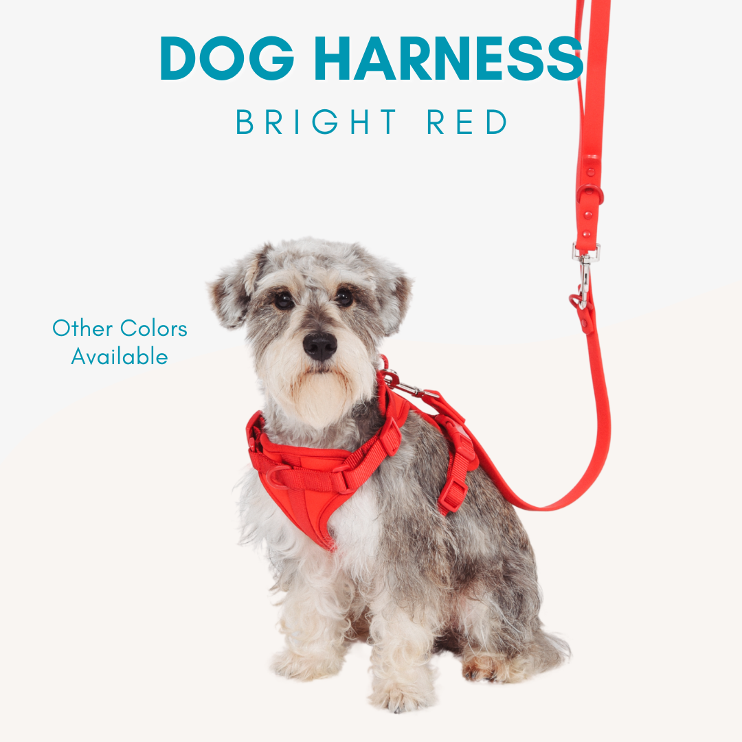 Adjustable Durable Dog Harness