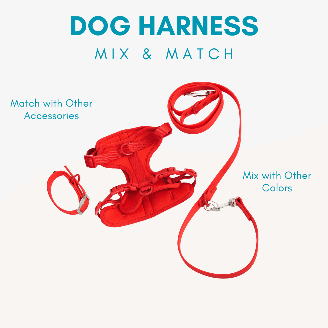 Adjustable Durable Dog Harness