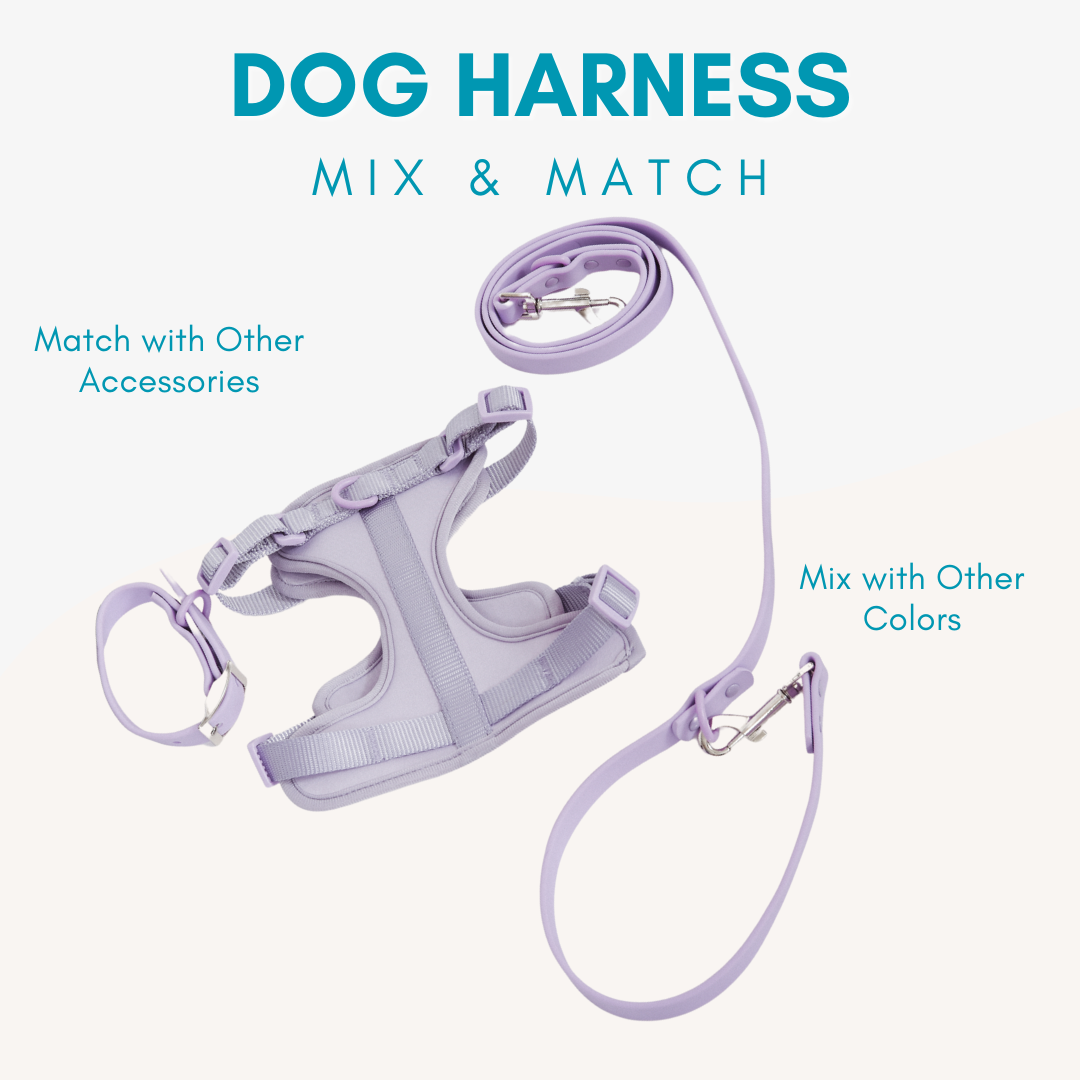 Adjustable Durable Dog Harness