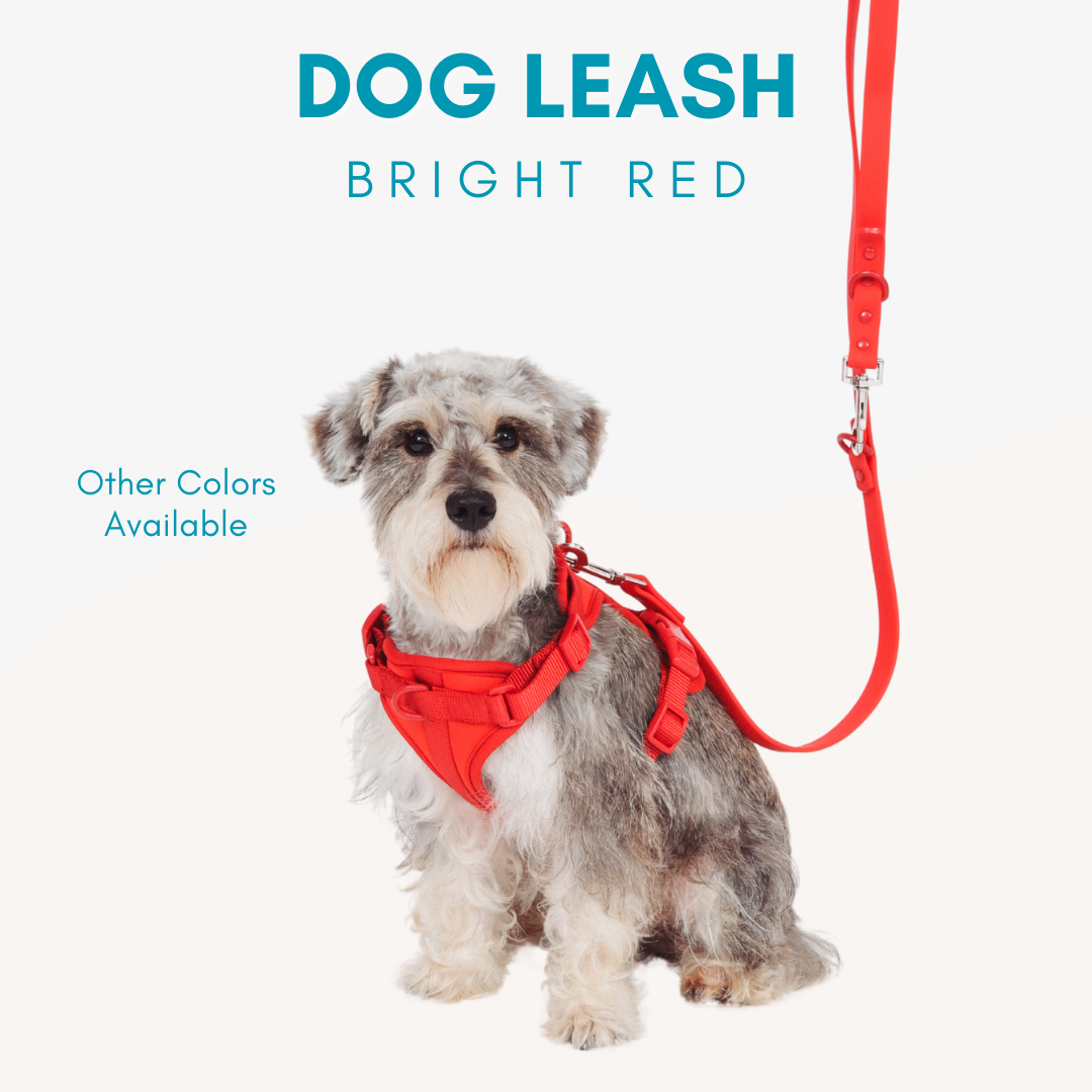 Adjustable Waterproof Dog Leash