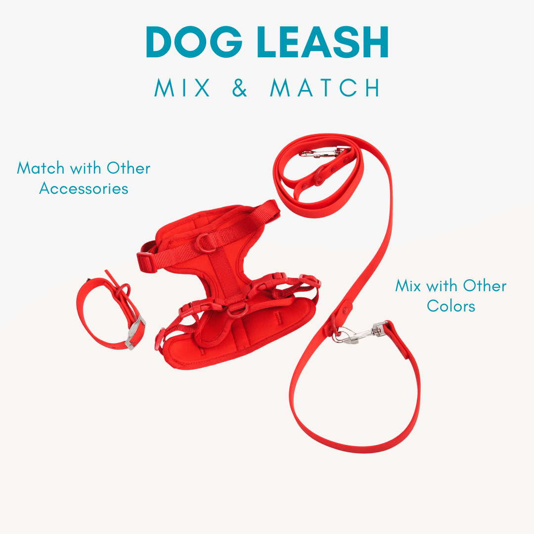 Adjustable Waterproof Dog Leash
