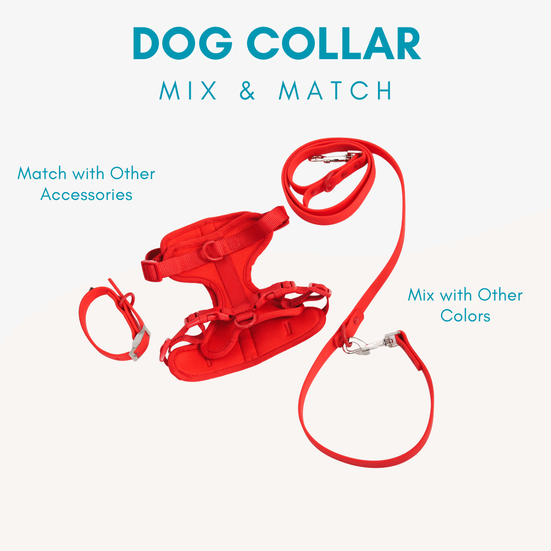 Adjustable Waterproof Dog Collar