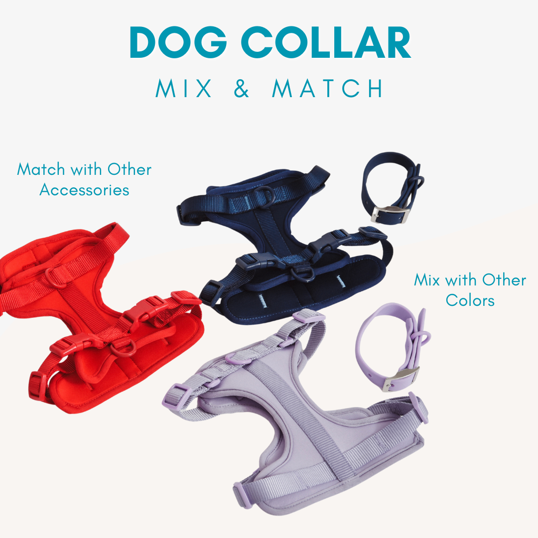 Adjustable Waterproof Dog Collar