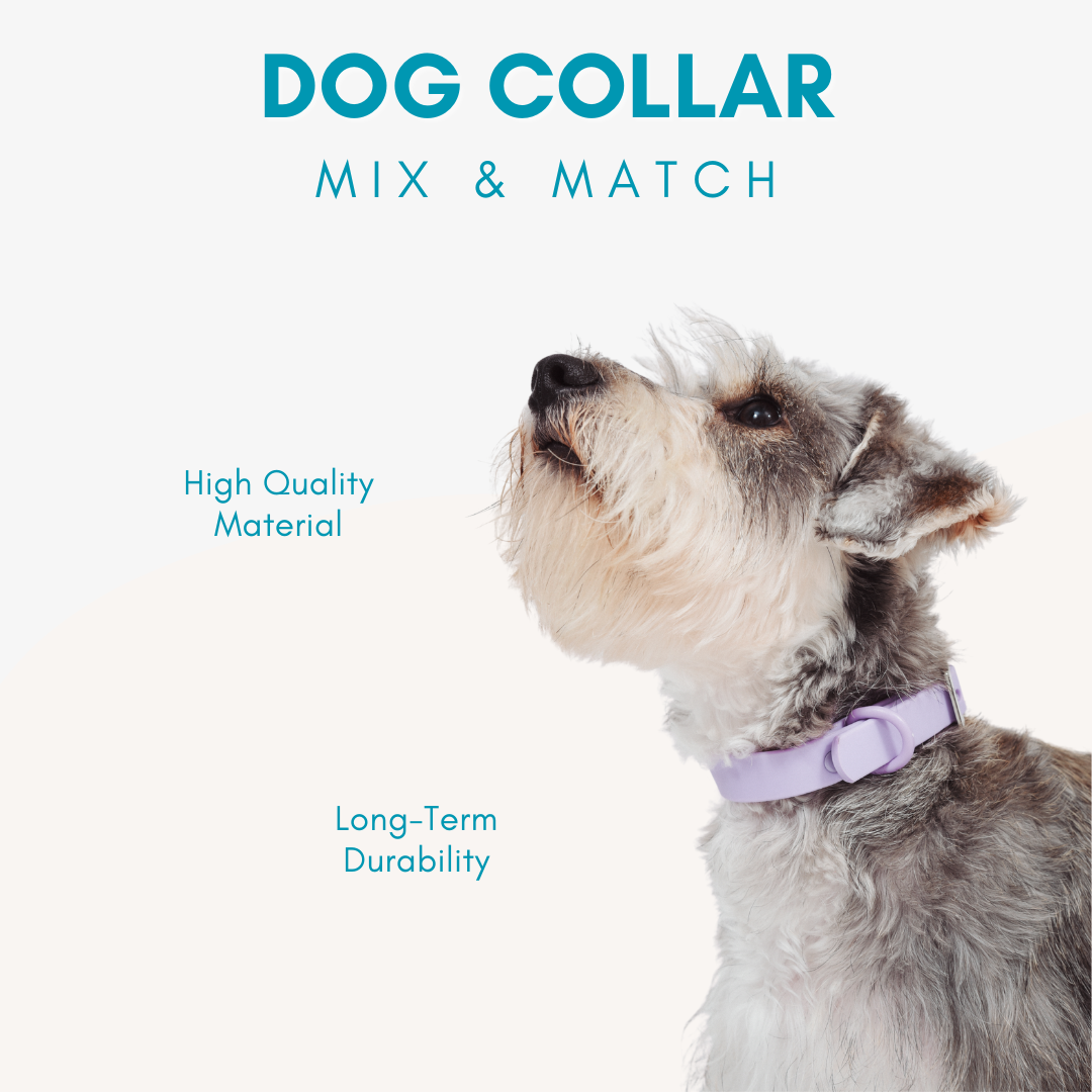 Adjustable Waterproof Dog Collar