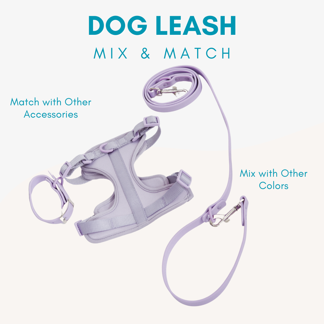 Adjustable Waterproof Dog Leash