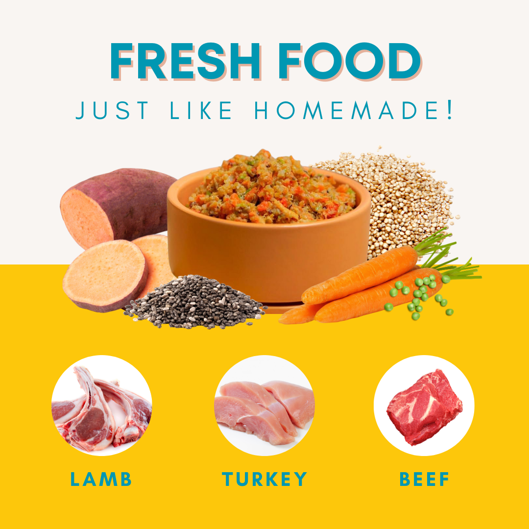 Beef Dog Food