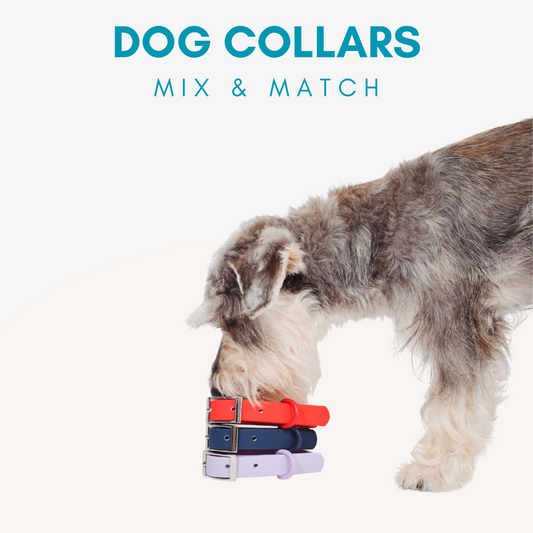 Adjustable Waterproof Dog Collar