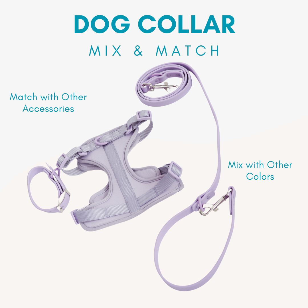 Adjustable Waterproof Dog Collar