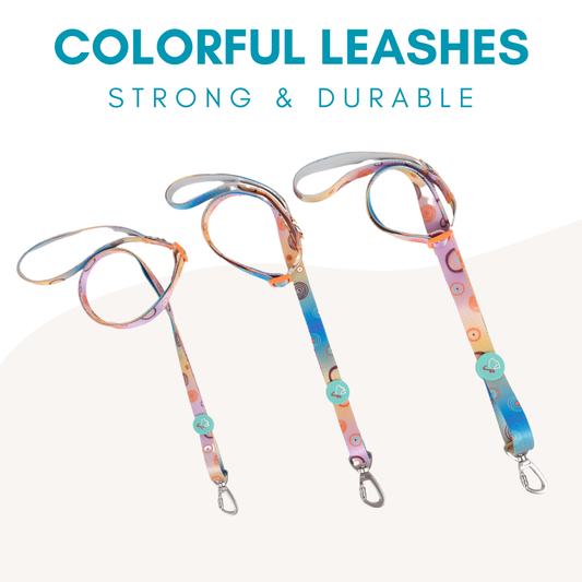 Colorful Collection Dog Leash