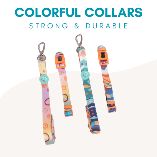 Coloful Collection Dog Collar
