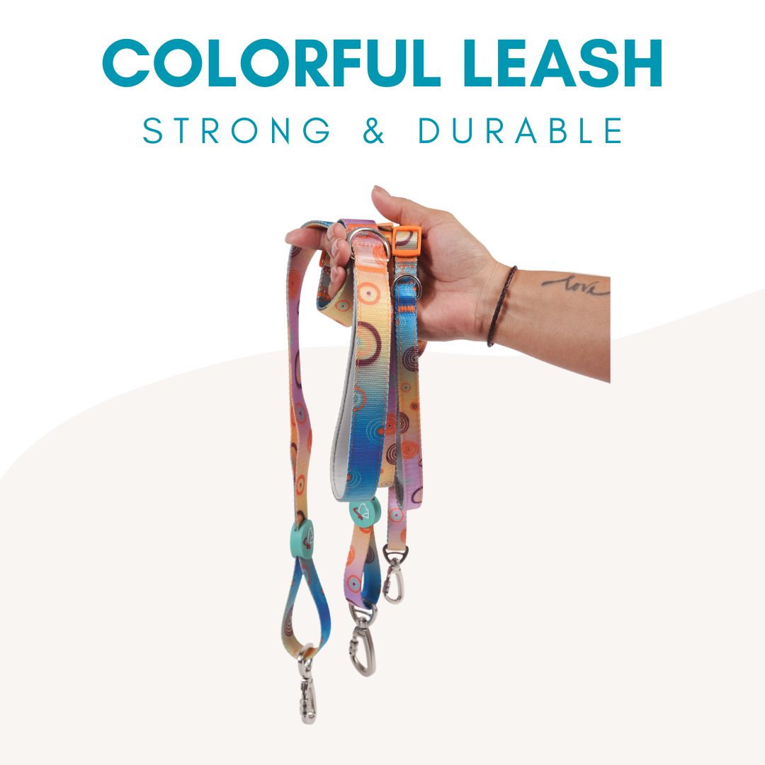 Colorful Collection Dog Leash