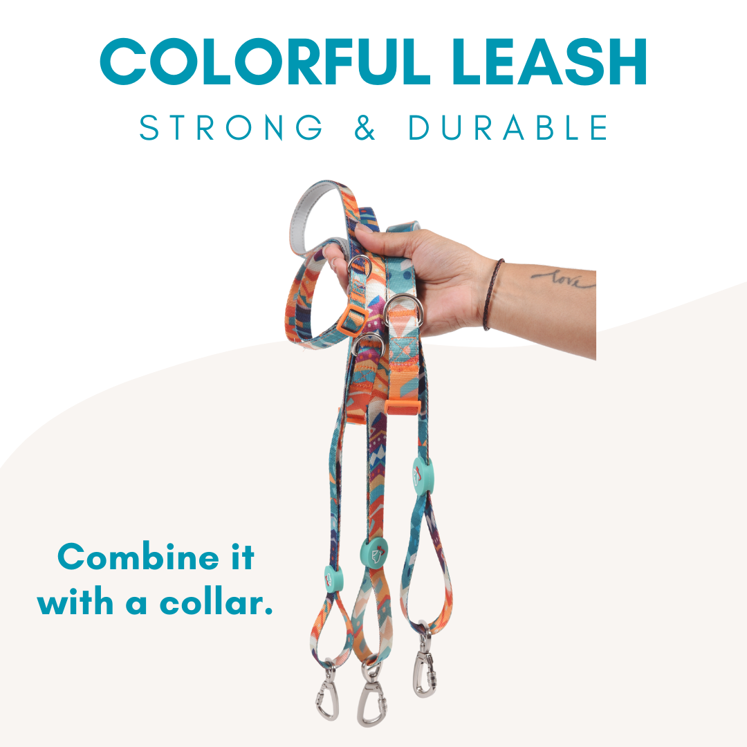 Colorful Collection Dog Leash