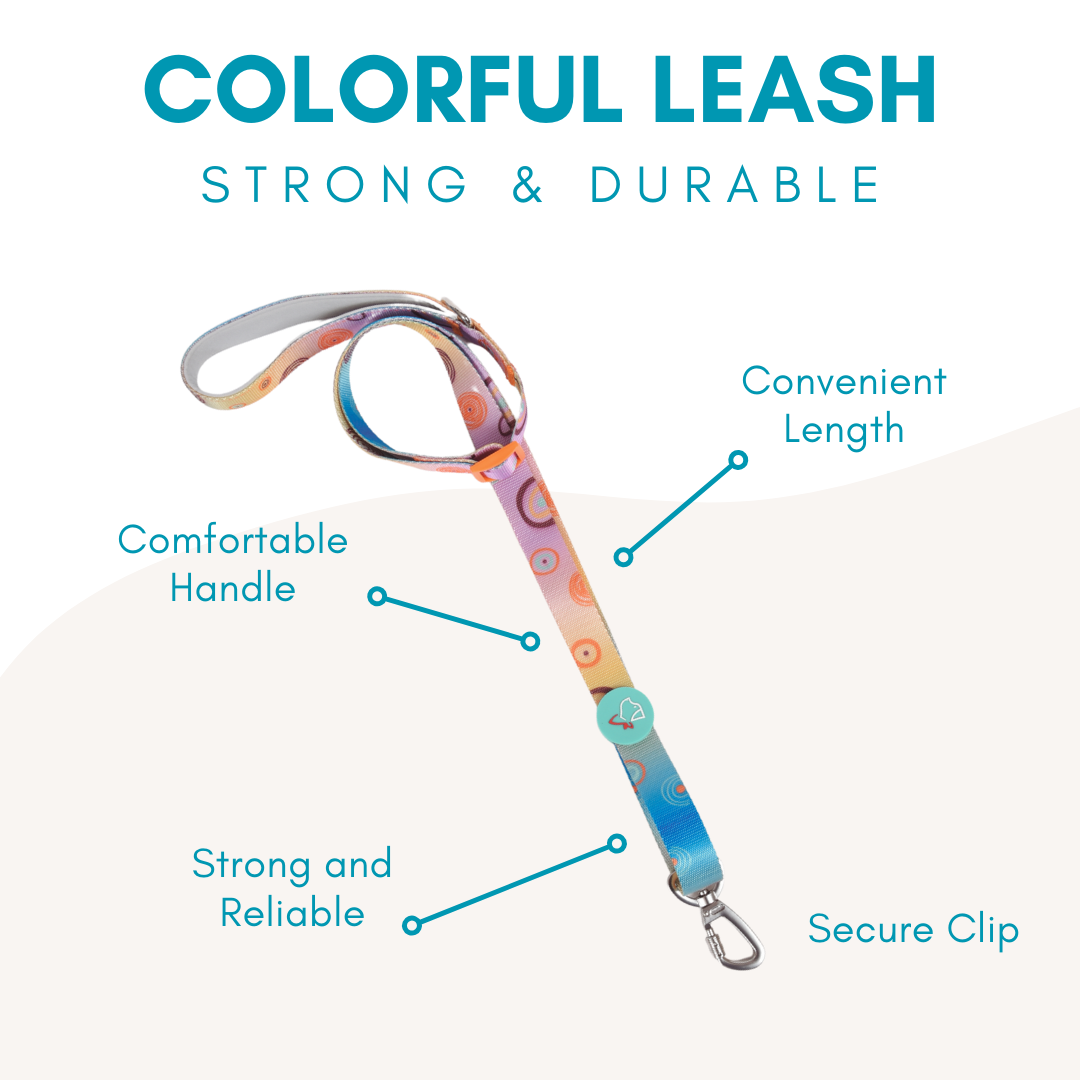 Colorful Collection Dog Leash