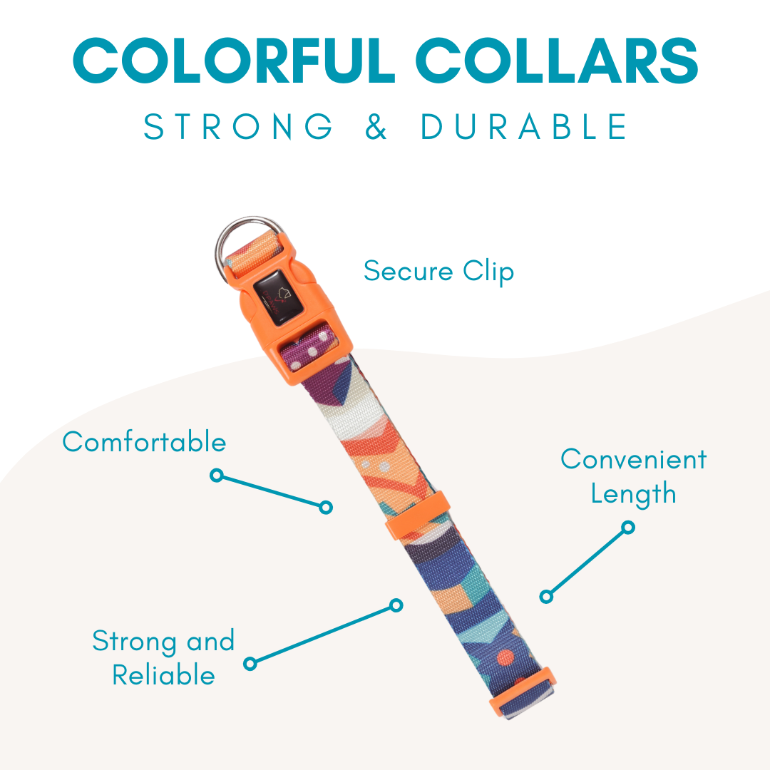Coloful Collection Dog Collar