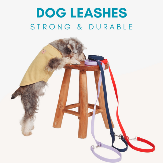 Adjustable Waterproof Dog Leash