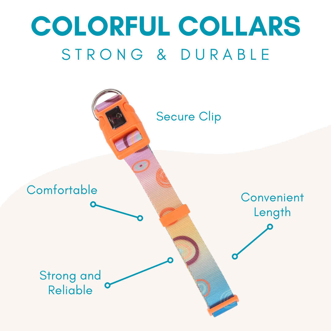 Coloful Collection Dog Collar