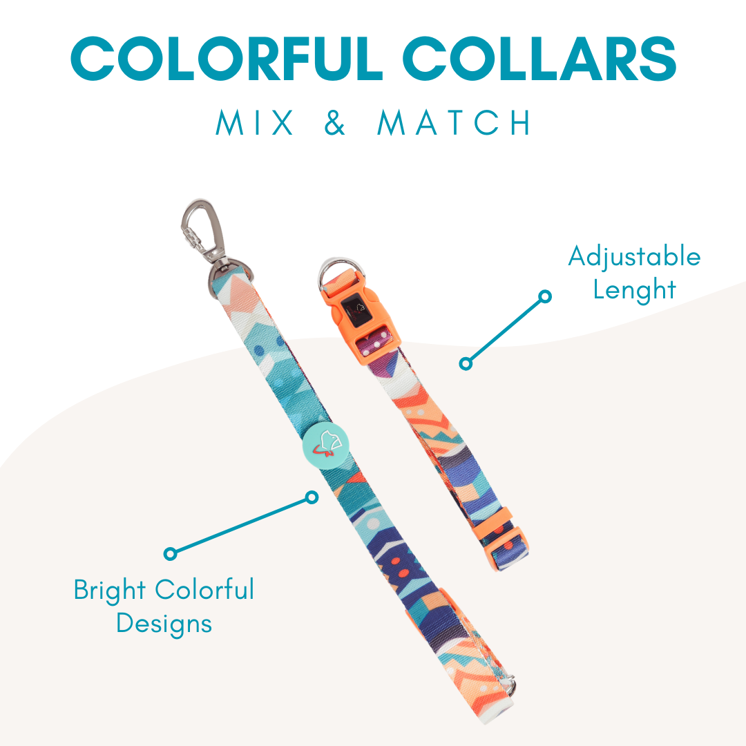 Coloful Collection Dog Collar