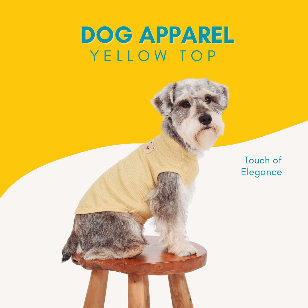Dog Apparel