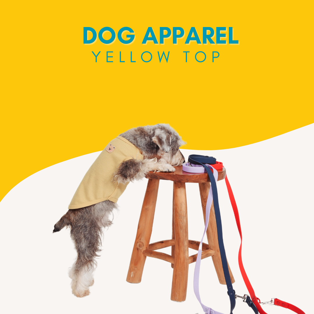Dog Apparel