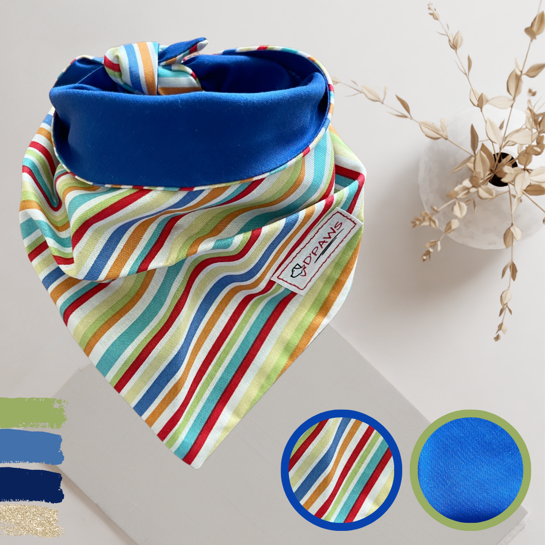 Color Stripes & Blue - Reversible Bandana