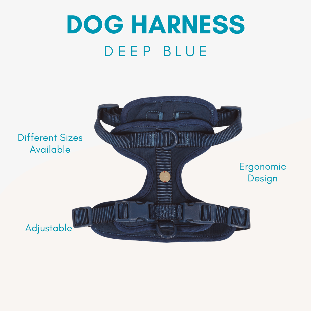 Adjustable Durable Dog Harness