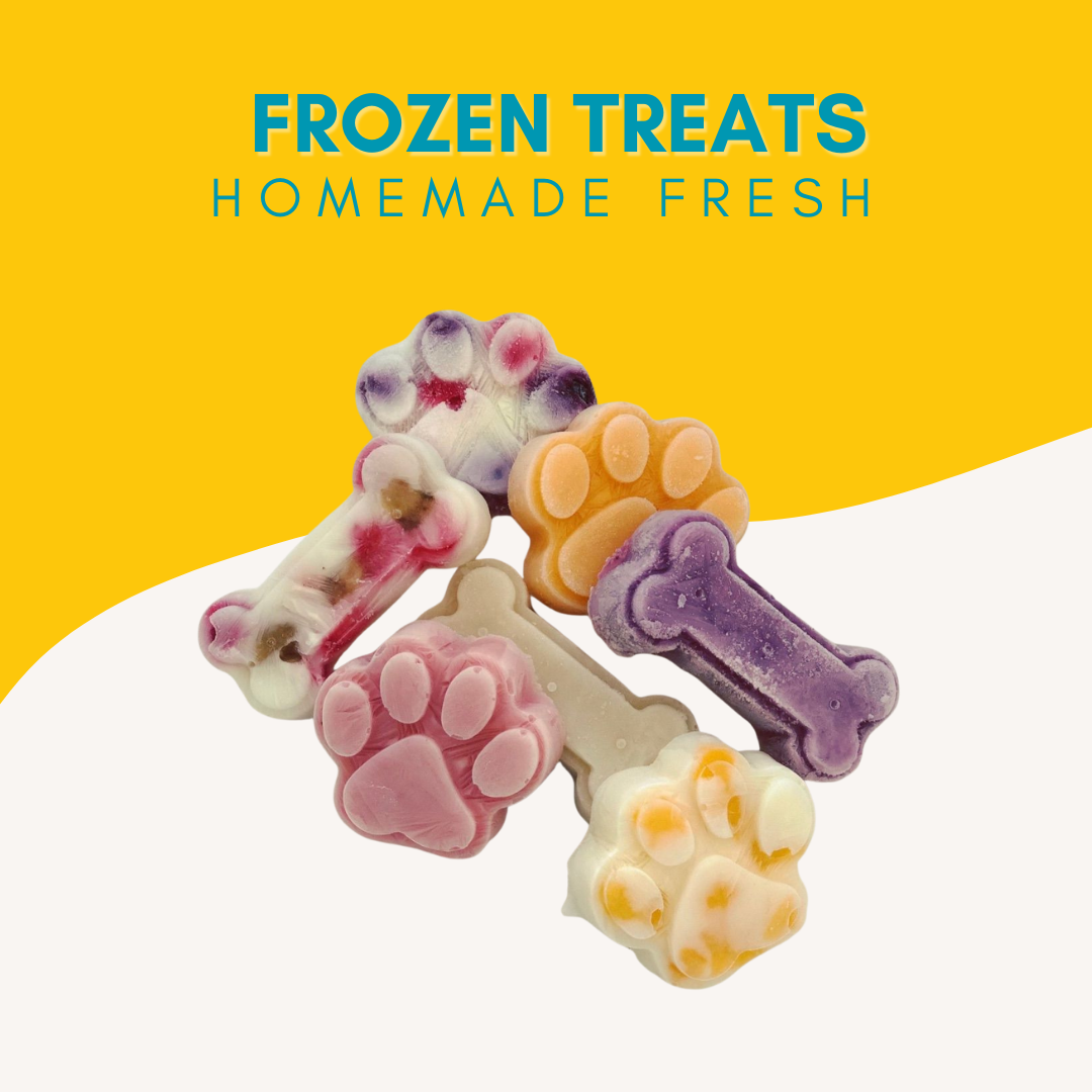 Frozen Treats - Pack of 10
