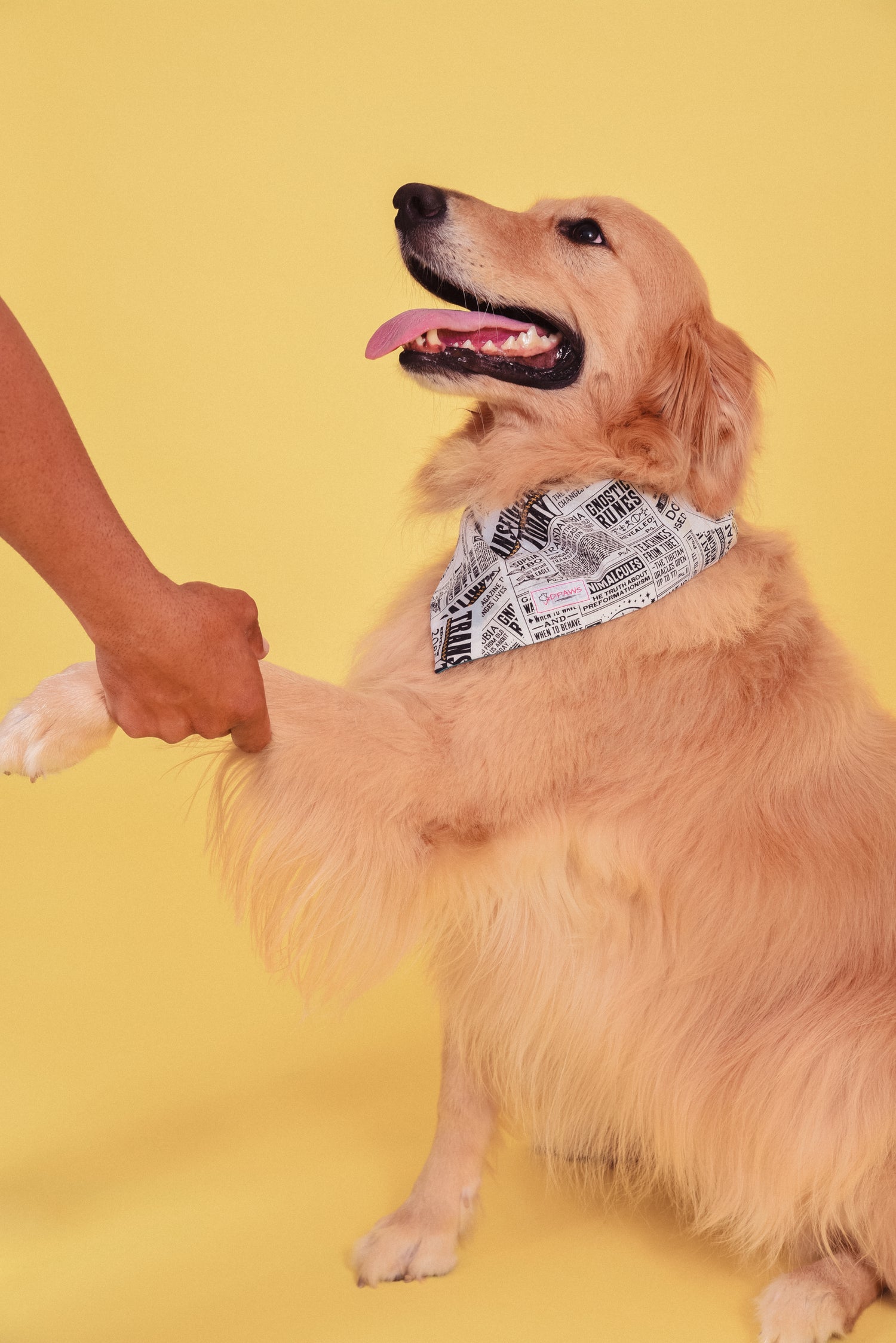 Bandanas