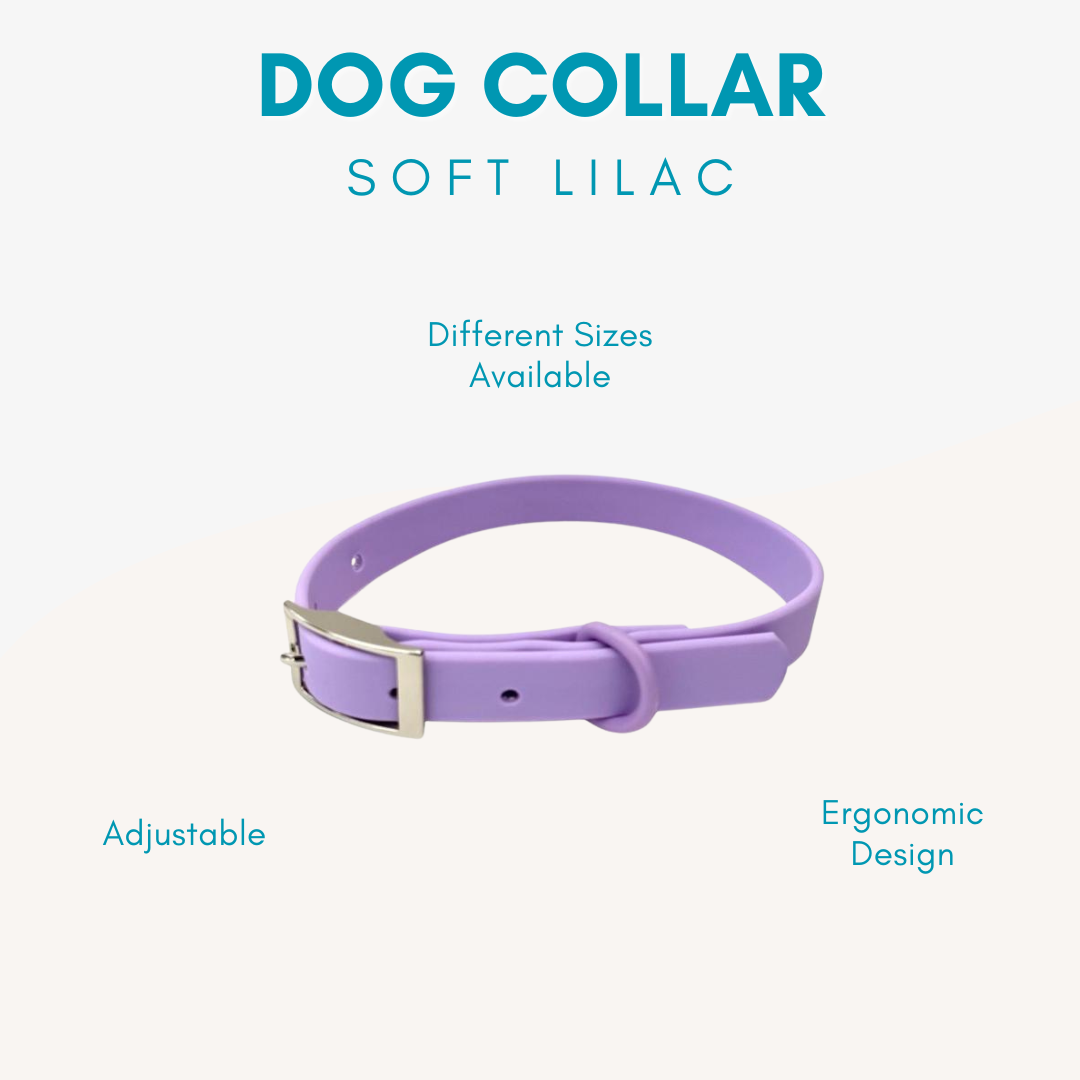 Adjustable Waterproof Dog Collar