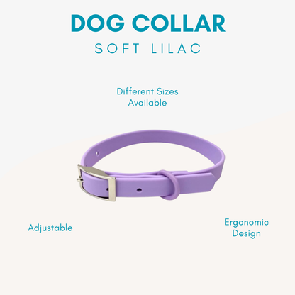 Adjustable Waterproof Dog Collar