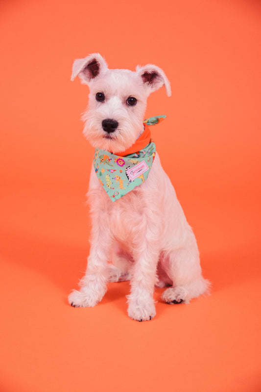 Zoo & Orange - Reversible Dog Bandana