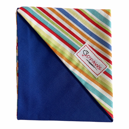Color Stripes & Blue - Reversible Bandana