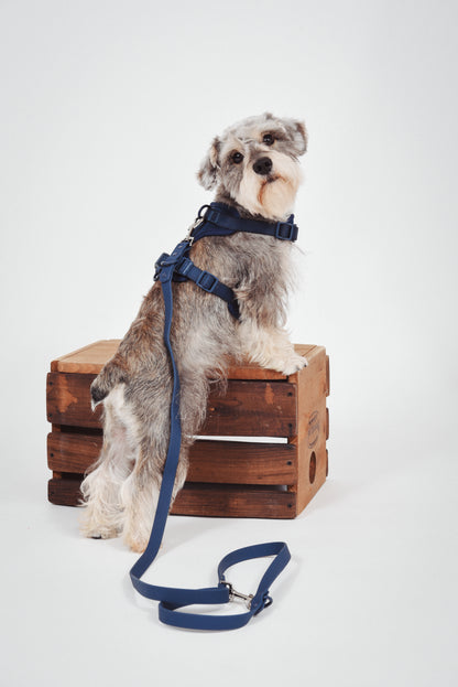 Adjustable Waterproof Navy Blue Leash