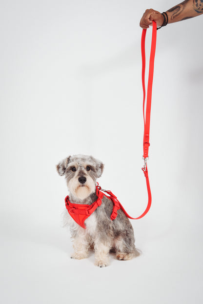 Adjustable Durable Red Harness