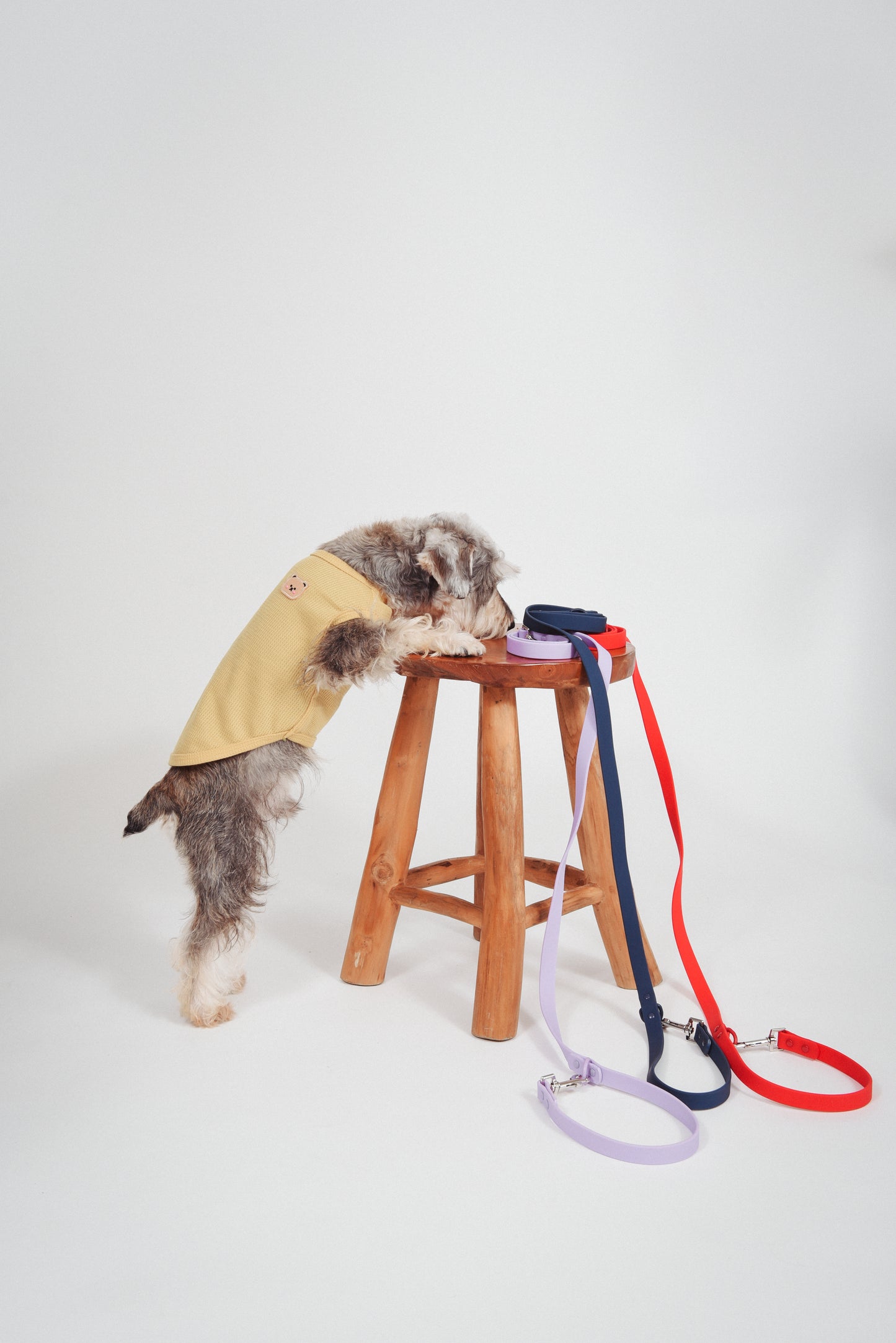 Adjustable Waterproof Navy Blue Leash