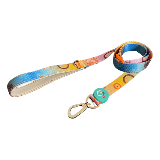 Colorful Collection Dog Leash