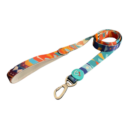 Colorful Collection Dog Leash