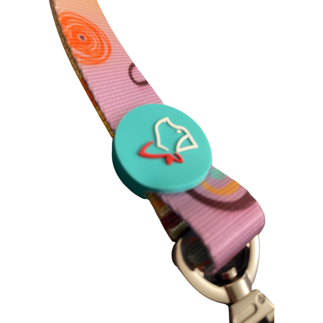 Colorful Collection Dog Leash